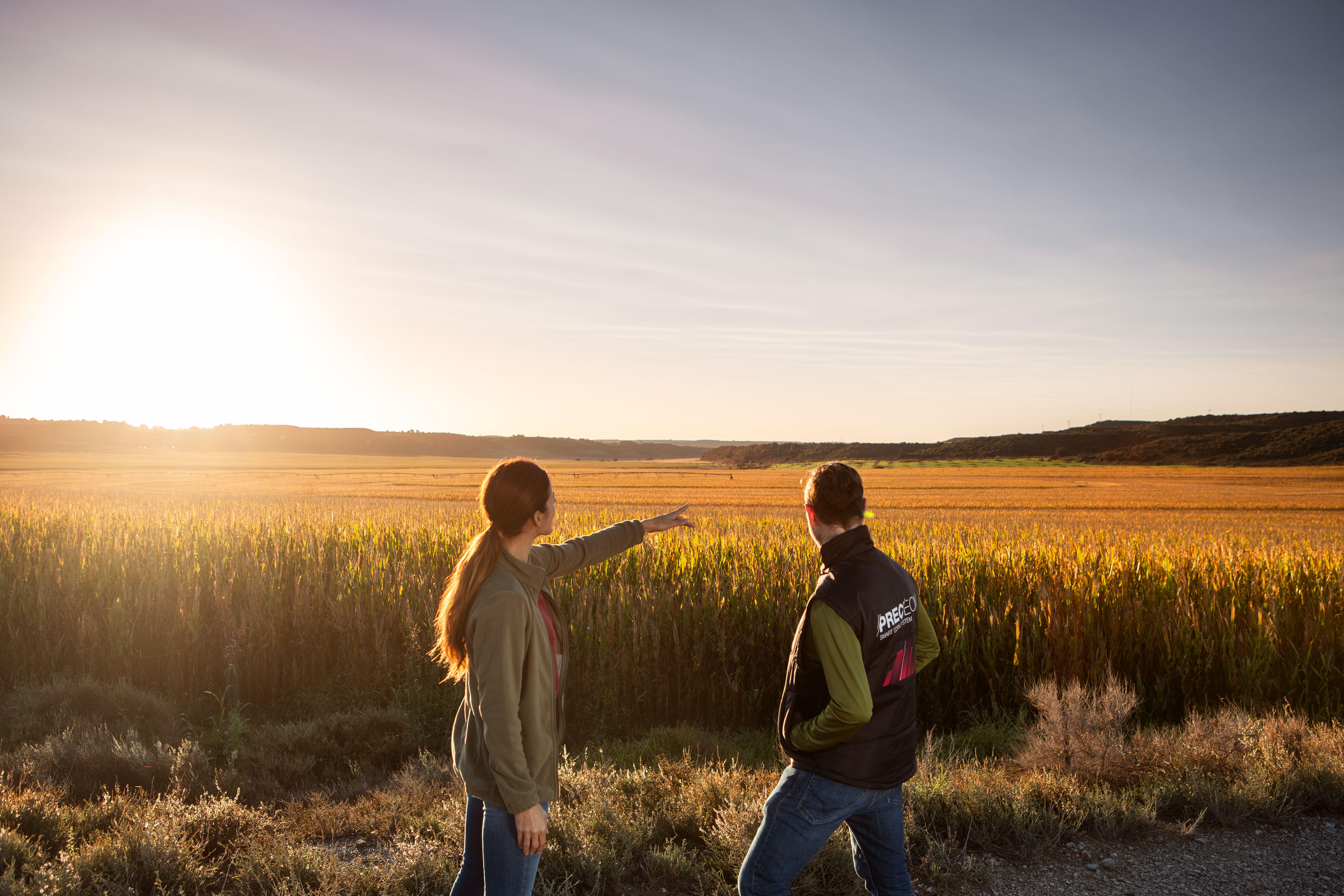 Zwei Personen stehen am Rand eines Feldes und blicken in die weite Landschaft, während die Sonne tief am Horizont steht. Eine Person zeigt in die Ferne. Die Szene wirkt ruhig und natürlich.