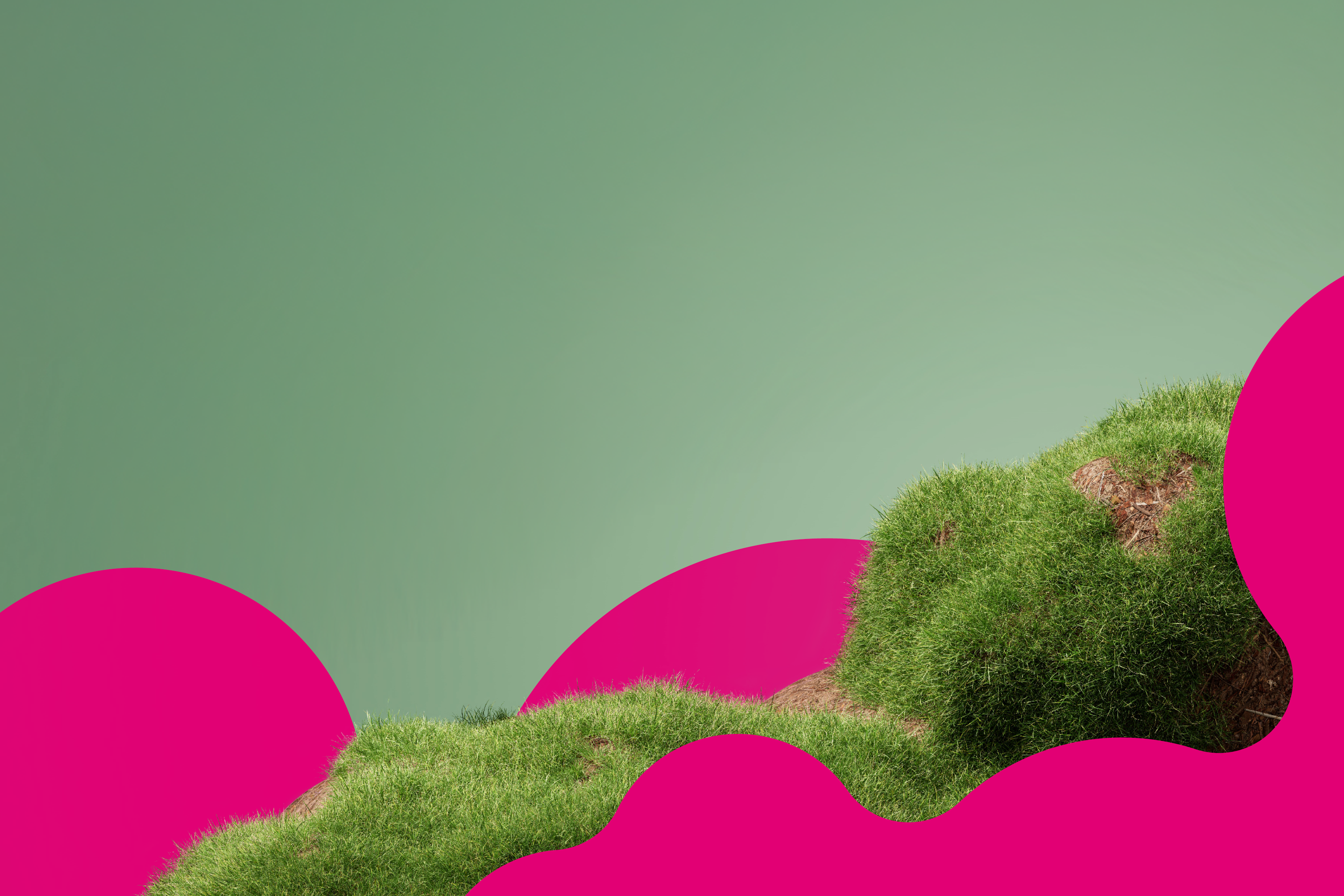 Grüne, bewachsene Hügel vor einem hellgrünen Hintergrund, eingerahmt von auffälligen, pinken grafischen Formen im Vordergrund. Das Bild wirkt modern und abstrakt.