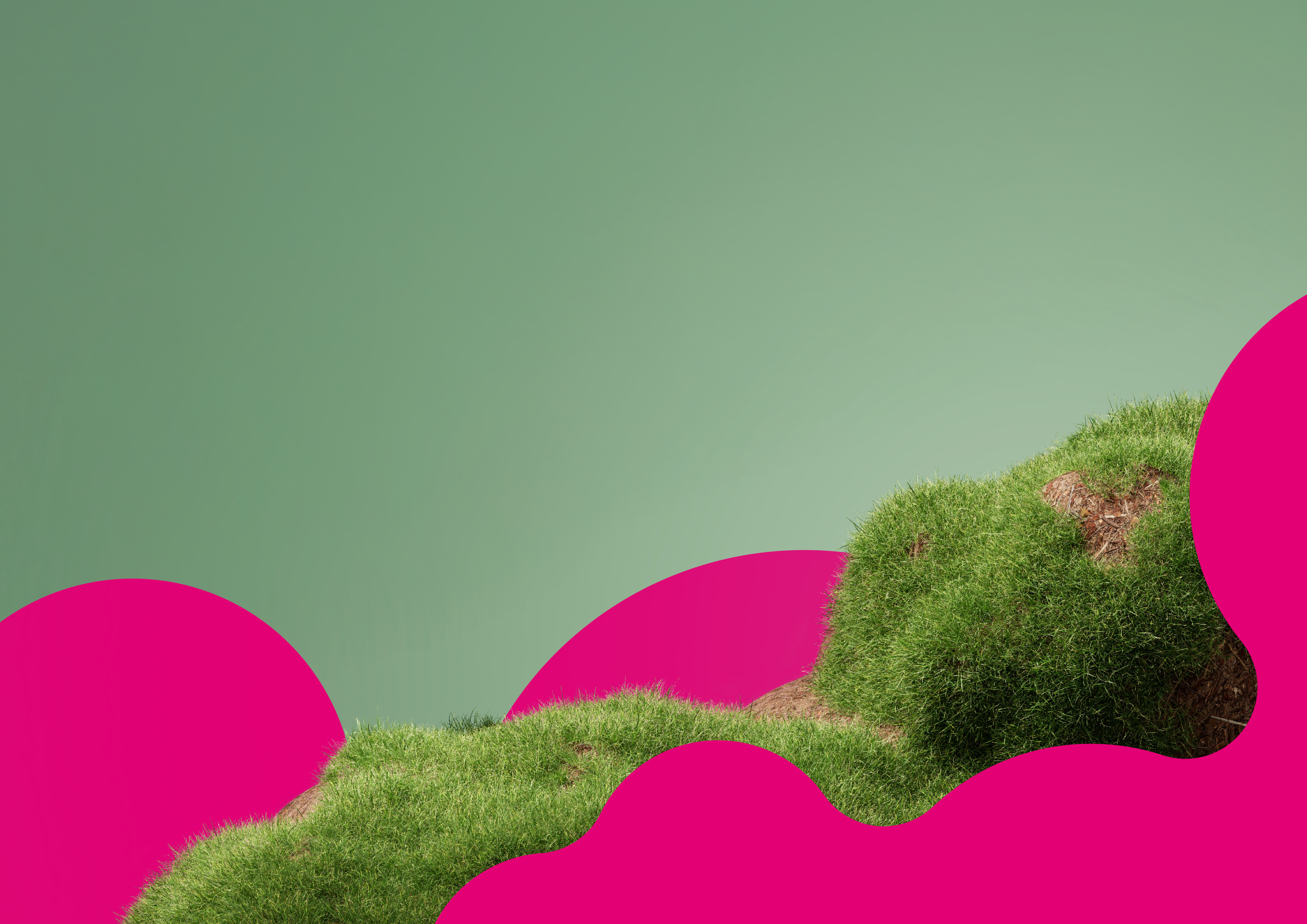 Grüne, bewachsene Hügel vor einem hellgrünen Hintergrund, eingerahmt von auffälligen, pinken grafischen Formen im Vordergrund. Das Bild wirkt modern und abstrakt.