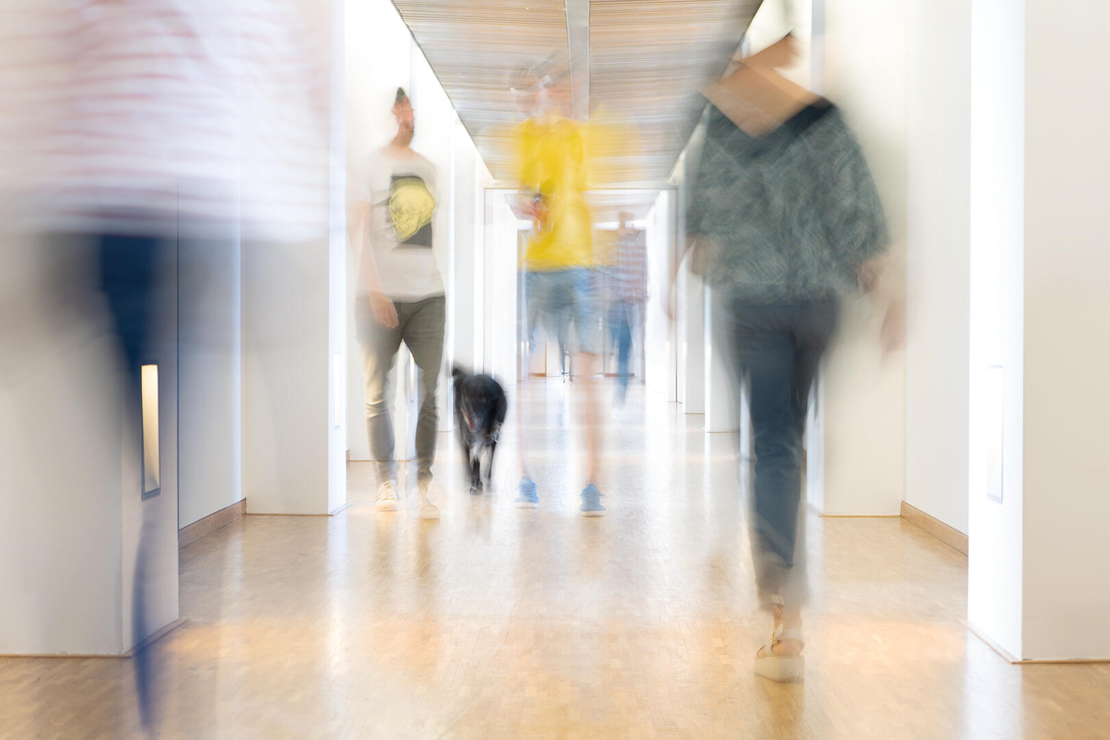 Mehrere Personen und ein Hund gehen durch einen hellen Flur mit Holzfußboden. Die Bewegungen sind verschwommen aufgenommen, wodurch ein dynamischer und lebendiger Eindruck entsteht.